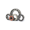 Nachi Ball Bearing 60 Série 6007 6009 6011 6013 6015 para motocicleta / auto / geradores